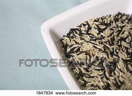 Plate of uncooked wild rice View Large Photo Image Picture - Plate of uncooked wild rice. Fotosearch