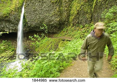 Ponytail falls, Columbia River Gorge, Oregon, USA; Hiker View Large Photo Image Stock Photography - Ponytail falls, Columbia River Gorge, Oregon, USA; Hiker. Fotosearch