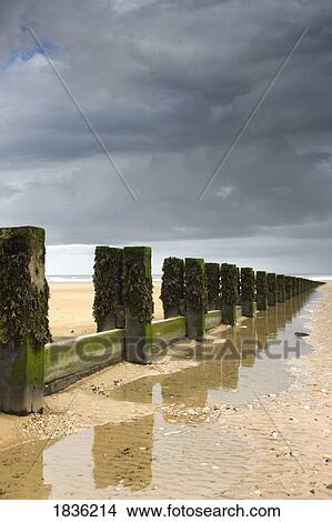 Posts on the beach, East Riding Yorkshire, England, Europe View Large Photo Image Picture - Posts on the beach, East Riding Yorkshire, England, Europe. Fotosearch
