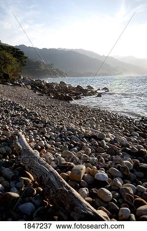 Puerto Vallarta, Mexico; Rocky beach View Large Photo Image Stock Photo - Puerto Vallarta, Mexico; Rocky beach . Fotosearch