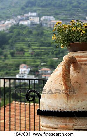 Ravello, Campania, Italy; Balcony with plant pot View Large Photo Image Stock Image - Ravello, Campania, Italy; Balcony with plant pot. Fotosearch