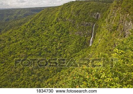 River Noire Falls, Viewpoint at Black River Gorges National Park, Mauritius, Africa View Large Photo Image Stock Image - River Noire Falls, Viewpoint at Black River Gorges National Park, Mauritius, Africa . Fotosearch