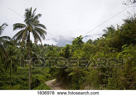 Road to Casaroro Waterfall Area, Valencia, Dumaguete, s Oriental Island, Philippines, Southeast Asia View Large Photo Image Stock Photo - Road to Casaroro Waterfall Area, Valencia, Dumaguete, s Oriental Island, Philippines, Southeast Asia . Fotosearch