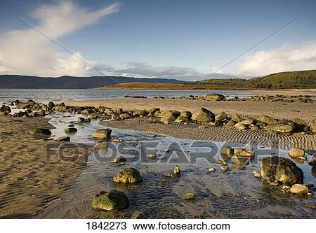 Rocky beach, Argyll and Bute, Scotland View Large Photo Image Stock Image - Rocky beach, Argyll and Bute, Scotland. Fotosearch