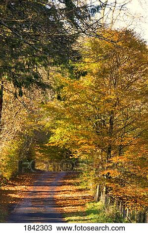 Rural road, Argyll and Bute, Scotland View Large Photo Image Stock Image - Rural road, Argyll and Bute, Scotland. Fotosearch