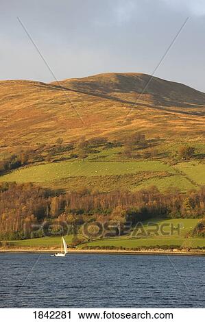 Sailboat in the water, Argyll and Bute, Scotland View Large Photo Image Stock Image - Sailboat in the water, Argyll and Bute, Scotland. Fotosearch