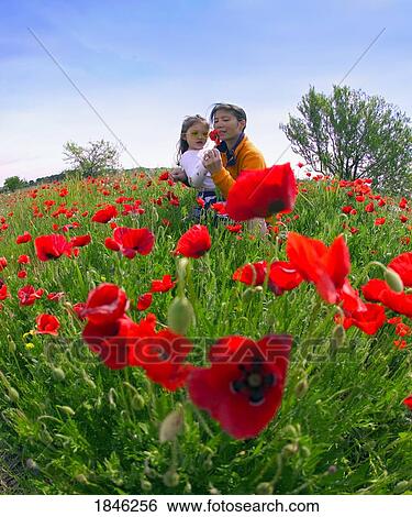 Stock Photograph - Saint-Rémy-de-Provence, Provence, France; Mother and daughter in poppy field. Fotosearch