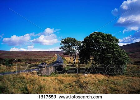 Sally Gap, Co Wicklow, Ireland View Large Photo Image Stock Photo - Sally Gap, Co Wicklow, Ireland. Fotosearch