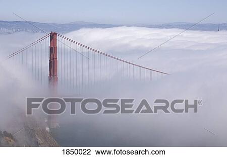San Francisco, California, USA; Golden gate bridge in fog View Large Photo Image Stock Image - San Francisco, California, USA; Golden gate bridge in fog. Fotosearch