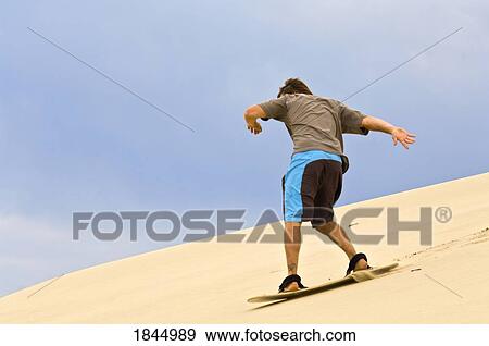 Stock Photo - Sandboarding, Honeyman State Park, Oregon, USA. Fotosearch