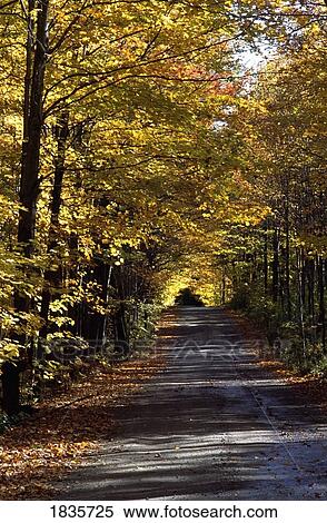 Stock Photography - Scenic road, Eastern Townships, Quebec, Canada. Fotosearch