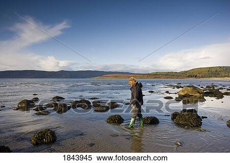 Scotland; Woman walking through pools at low tide on beach View Large Photo Image Stock Photography - Scotland; Woman walking through pools at low tide on beach. Fotosearch