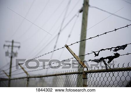 Stock Image - Scraps of fabric caught on a barbed wire fence. Fotosearch