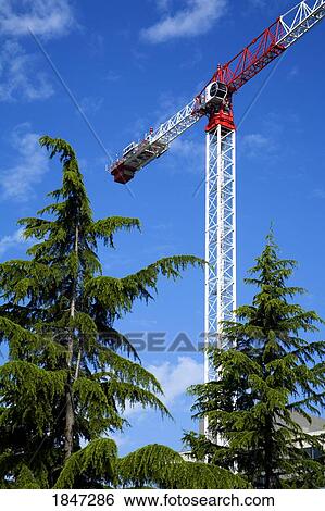 Seattle, Washington State, USA; Construction Crane View Large Photo Image Stock Photograph - Seattle, Washington State, USA; Construction Crane. Fotosearch