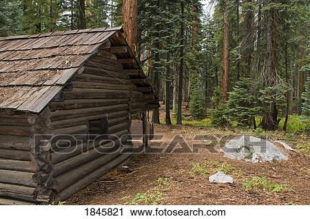 Sequoia National Park California Usa Cabin In The Forest Stock