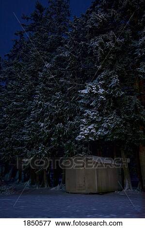 Shack in the woods at night View Large Photo Image Stock Photo - Shack in the woods at night. Fotosearch