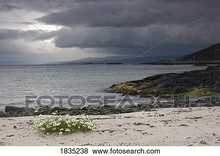 Shoreline and cloudy skies View Large Photo Image Stock Photo - Shoreline and cloudy skies. Fotosearch
