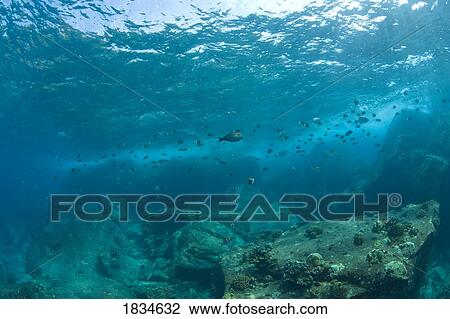Stock Image - Similan National Marine Park, Thailand, Southeast Asia. Fotosearch