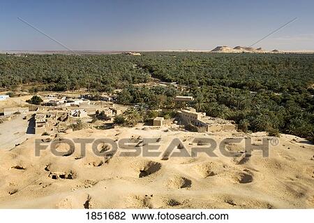 Stock Image - Siwa Oasis, Egypt; View of palms and olive groves. Fotosearch