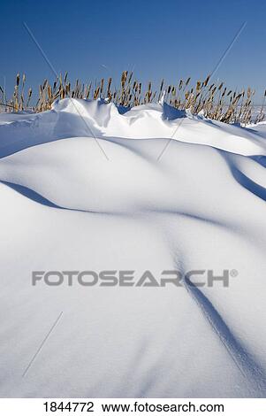 Snow drifts on a hill View Large Photo Image Stock Image - Snow drifts on a hill. Fotosearch
