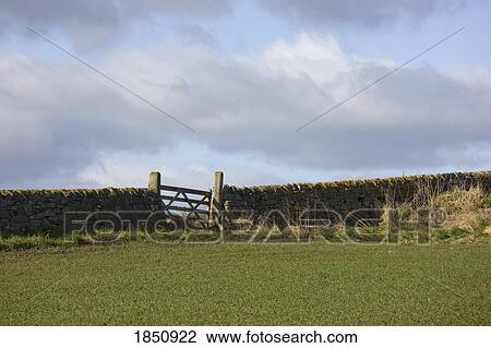 Stock Image - South Shields, Tyne and Wear, England; stone fence. Fotosearch