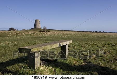 South Shields, Tyne and Wear, England; Bench on a grassy field View Large Photo Image Stock Photo - South Shields, Tyne and Wear, England; Bench on a grassy field. Fotosearch