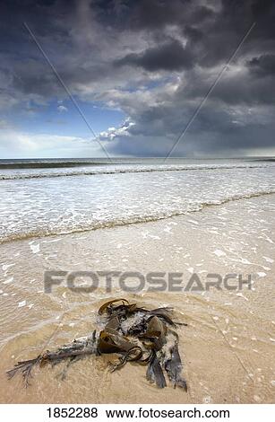 Stock Photo - South Shields, Tyne and Wear, England; Dark skies over water. Fotosearch