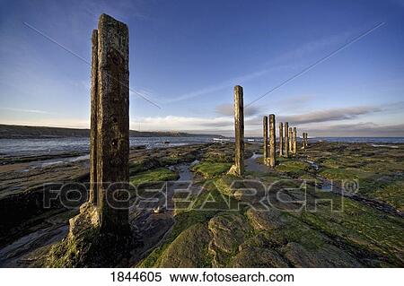 Stone pillars in shallow water, Whitley Bay, North Tyneside, Tyne and Wear, England View Large Photo Image Stock Photography - Stone pillars in shallow water, Whitley Bay, North Tyneside, Tyne and Wear, England. Fotosearch