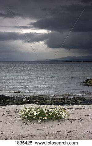 Stock Photography - Storm brewing. Fotosearch