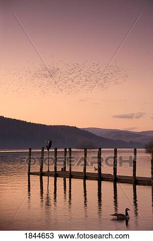 Sunset over a dock in the lake, England View Large Photo Image Stock Image - Sunset over a dock in the lake, England. Fotosearch