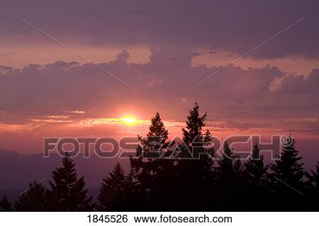 Sunset over trees, Willamette Valley, Oregon, United States of America View Large Photo Image Stock Photograph - Sunset over trees, Willamette Valley, Oregon, United States of America. Fotosearch