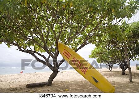 Picture - Surf rescue surfboard on the sand. Fotosearch