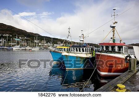 Tarbert, Scotland; Boats in the harbor View Large Photo Image Stock Photograph - Tarbert, Scotland; Boats in the harbor. Fotosearch
