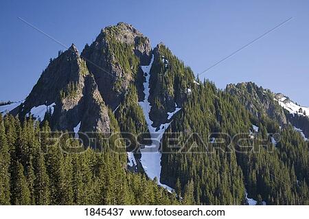 Tatoosh mountains, Mount Rainier National Park, Washington, United States of America View Large Photo Image Stock Photo - Tatoosh mountains, Mount Rainier National Park, Washington, United States of America. Fotosearch