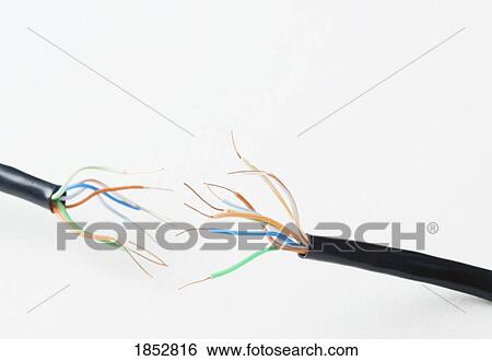 Technology; Close-up of cut cable with exposed wiring View Large Photo Image Stock Photograph - Technology; Close-up of cut cable with exposed wiring. Fotosearch