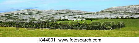 The Burren, County Clare, Ireland View Large Photo Image Stock Image - The Burren, County Clare, Ireland. Fotosearch
