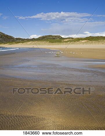 Tide along a sandy beach, Kiloran Bay, Island of Colonsay, Scotland View Large Photo Image Stock Image - Tide along a sandy beach, Kiloran Bay, Island of Colonsay, Scotland. Fotosearch