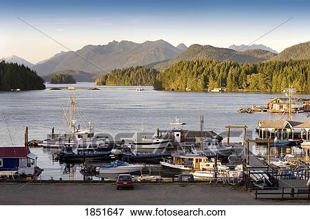 Stock Photo - Tofino, Vancouver Island, British Columbia, Canada; View of a marina and mountains. Fotosearch