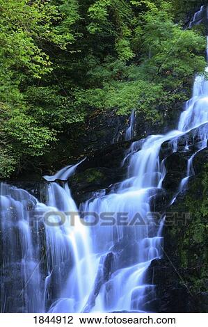 Torc Waterfall, Killarney National Park, County Kerry, Ireland View Large Photo Image Stock Image - Torc Waterfall, Killarney National Park, County Kerry, Ireland. Fotosearch