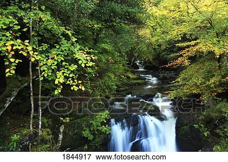 Torc Waterfall, Killarney National Park, County Kerry, Ireland View Large Photo Image Stock Photo - Torc Waterfall, Killarney National Park, County Kerry, Ireland. Fotosearch
