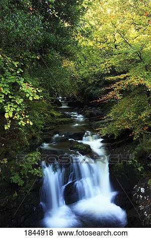 Stock Photo - Torc Waterfall, Killarney National Park, County Kerry, Ireland. Fotosearch