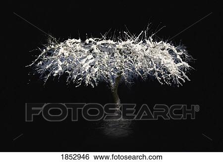 Tree; Snow-covered tree at night View Large Photo Image Stock Photograph - Tree; Snow-covered tree at night. Fotosearch