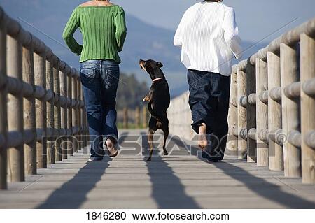 Stock Image - Two people running with dog. Fotosearch