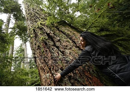 Stock Image - Vancouver Island, British Columbia, Canada; Woman and tree; Woman hugs a tree in Cathedral Grove, MacMillan Provincial Park. Fotosearch