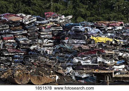 Vancouver Island, British Columbia, Canada; Crushed vehicles at a recycling plant View Large Photo Image Stock Photo - Vancouver Island, British Columbia, Canada; Crushed vehicles at a recycling plant. Fotosearch