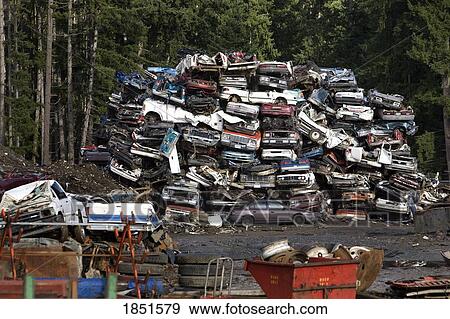 Stock Photo - Vancouver Island, British Columbia, Canada; Crushed vehicles at a recycling plant. Fotosearch