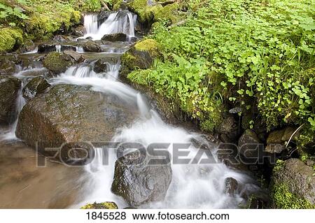 Stock Photo - Water cascading over rocks, Mount Hood National Forest, Oregon, United States of America. Fotosearch