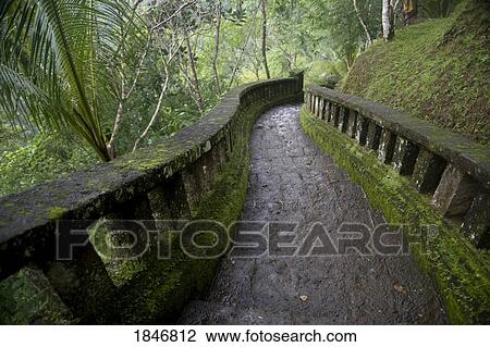 Winding trail through the forest at Como Shambhala, Bali, Indonesia View Large Photo Image Stock Image - Winding trail through the forest at Como Shambhala, Bali, Indonesia. Fotosearch