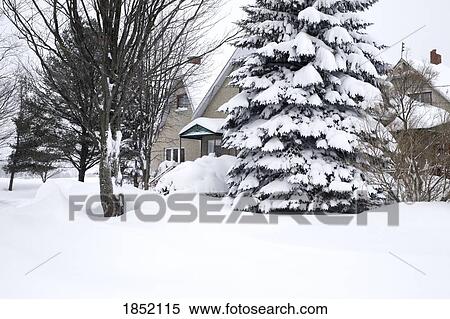 Stock Photography - Winter scene. Fotosearch