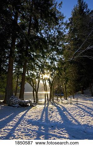 Winter; Sunny winter day View Large Photo Image Stock Photo - Winter; Sunny winter day. Fotosearch